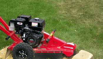 Small stump grinder image.