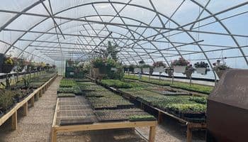 Greenhouse illustration