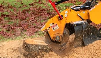 Find the Perfect Stump Grinder for Sale